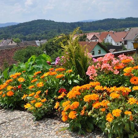 Gasthof Adler Guettingen Guttingen Ngoại thất bức ảnh